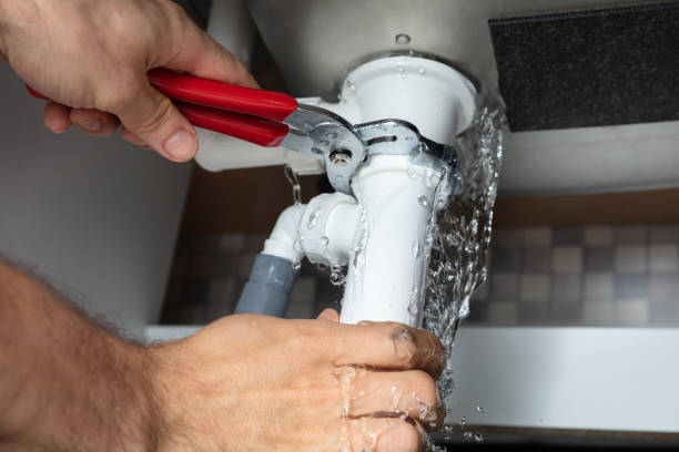 Best Basement water damage restoration  in Taos, NM