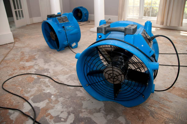  Taos, NM Water damage restoration Pros