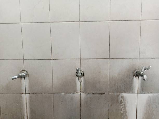 , NM Water damage restoration Company